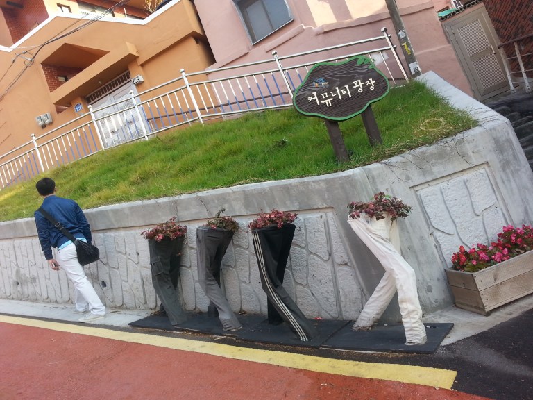 Pants used as plant holders