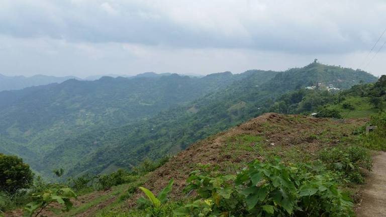 11209559_380264852169178_3267380696567646981_n