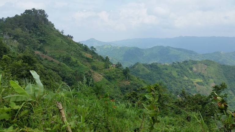 11224098_380264868835843_2322200426596354055_n