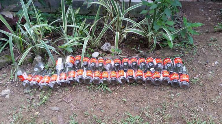 11905384_380264575502539_3101566044319204020_n