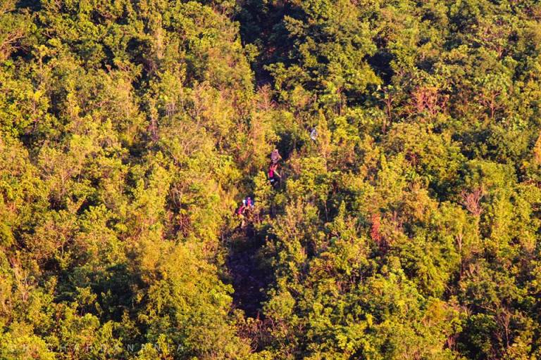 11216578_10201148932361252_1909700115927418278_n