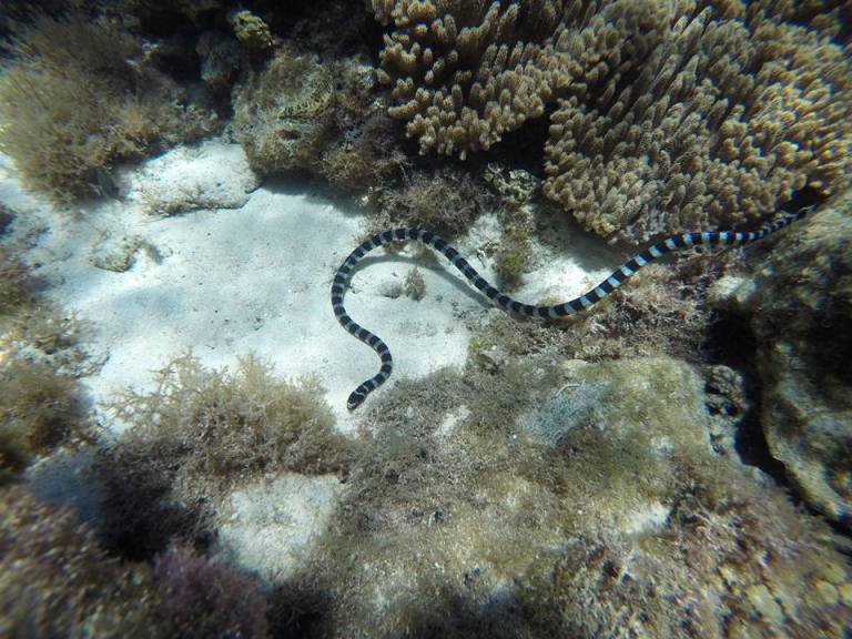 10400118_10205955291507578_6679676232248908671_n (1)