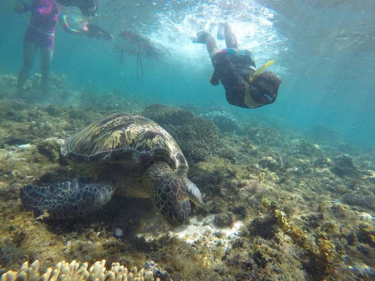 12111931_10205955304387900_8861927042439396047_n