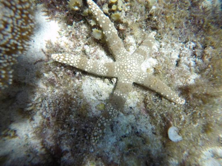 12376772_10205955292867612_2240296361948046529_n