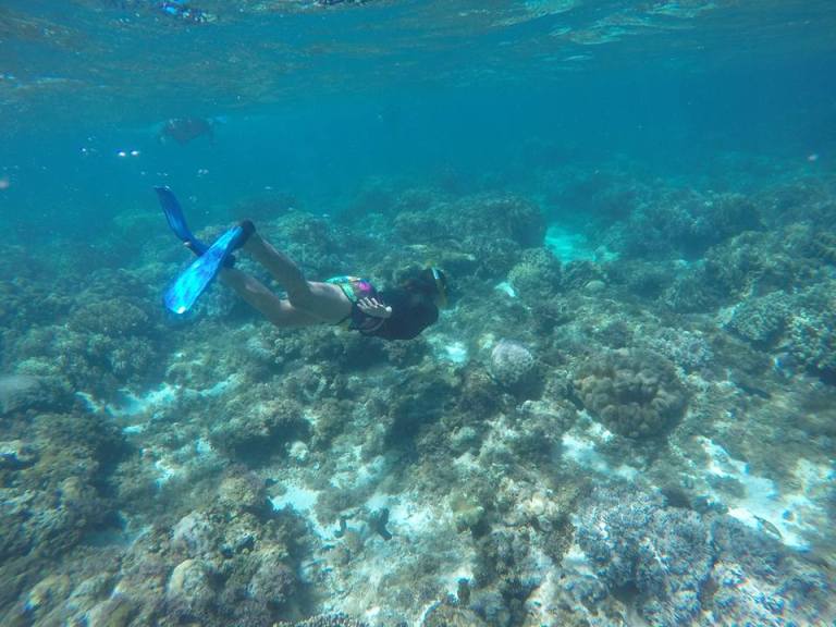 12798913_10205955294067642_5497555587210805986_n