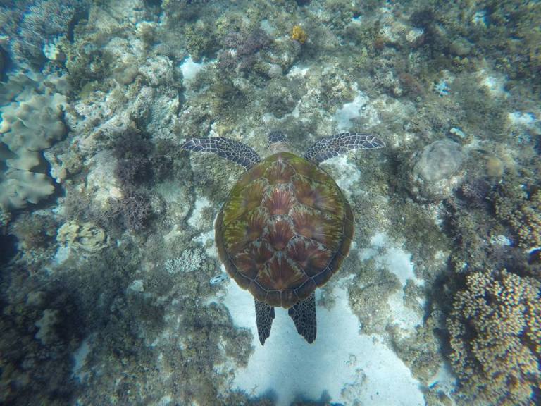 12801164_10205955292227596_4717903391362947523_n