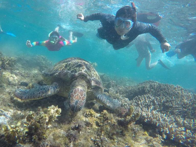 12801449_10205955289507528_8239906203335581591_n