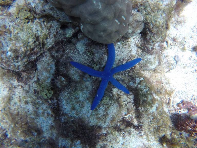 12802912_10205955294987665_8930494068316463421_n