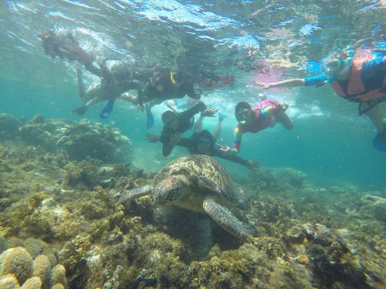 943962_10205955303147869_4242139605950410287_n