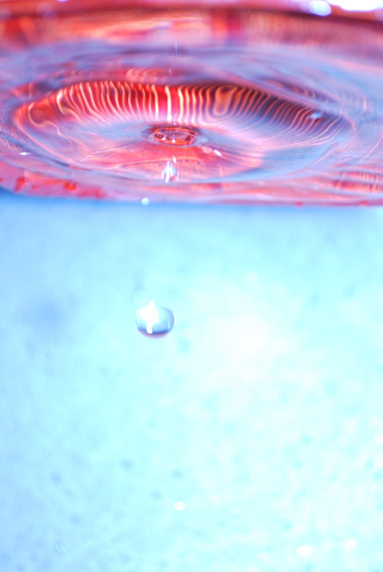 8711519707_8dc2849e00_o